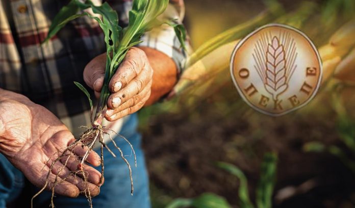 ot_opekepe_agroths_mefyto-2