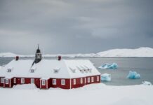 Ντ. Τραμπ για Γροιλανδία: «Η άμυνά τους βασίζεται σε δύο έλκηθρα με σκύλους»