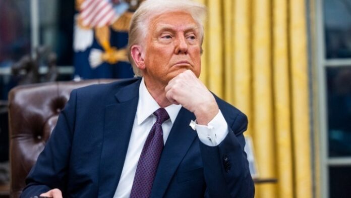 w26-133033w3071638trump1